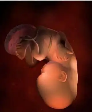 怀孕33周到36周胎儿发育情况,胎儿一天长大,4周注意事项很贴心