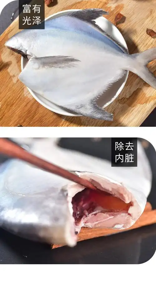 去头银鲳鱼新鲜银鲳鱼去头去内脏冷冻海捕大银鲳鱼水产批发去头内脏89
