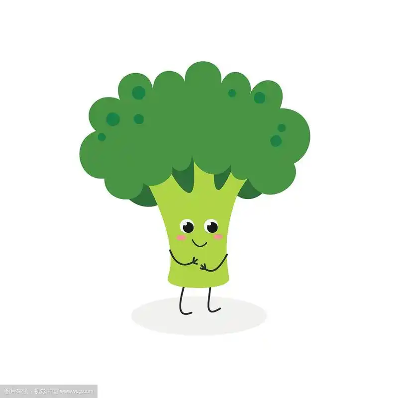 可爱的卡通西兰花