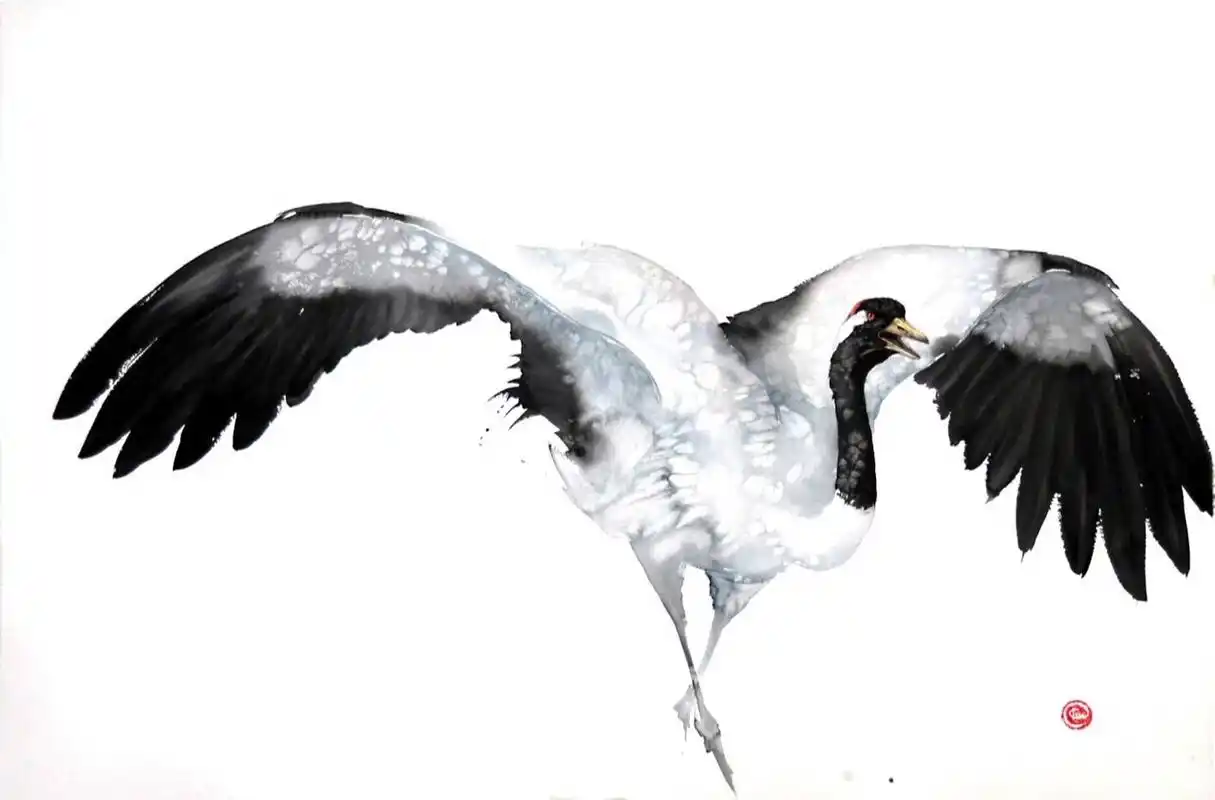 仙鹤 丹顶鹤 水彩写意动物 karl