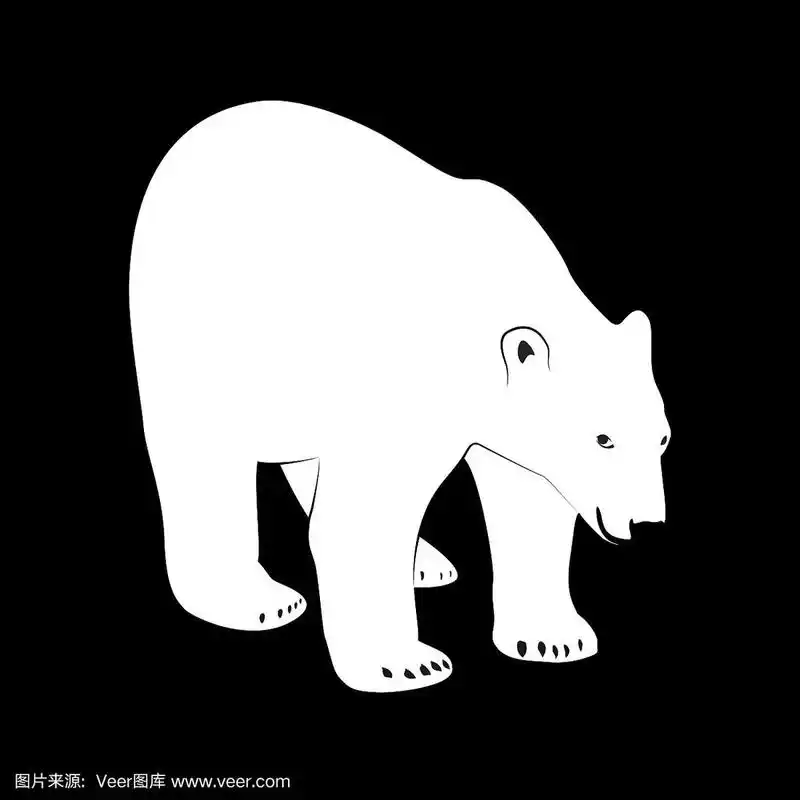 黑白相间的北极熊