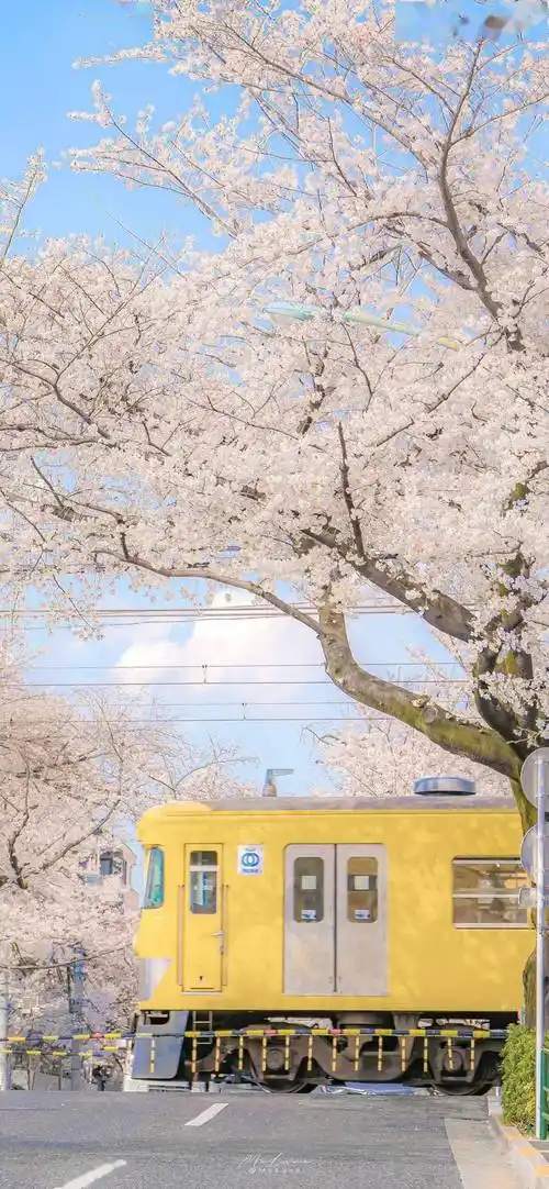 壁纸合集 | 治愈系简约壁纸