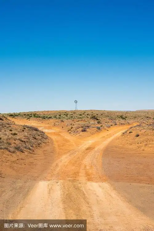 沙漠地区的分岔路