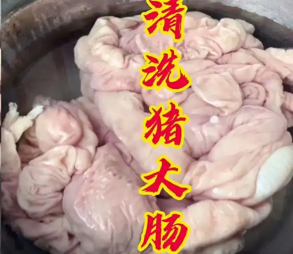 大肠如何洗才能干净和去异味