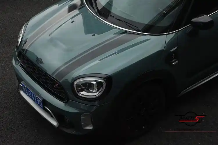 mini胖子的春天f60尤加利青装扮拉花