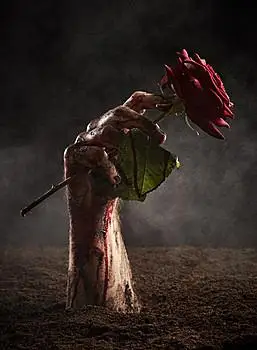 漂亮,玫瑰,脏,男性,手,红玫瑰,血