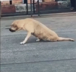 一夜之间变生活不能自理你连走路都费劲练腿后第二天是整个健身房最靓