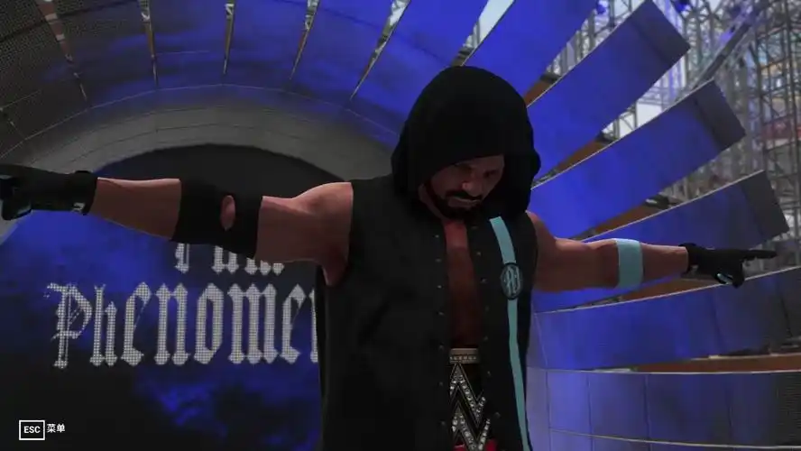 wwe2k19系列 赛斯vsaj