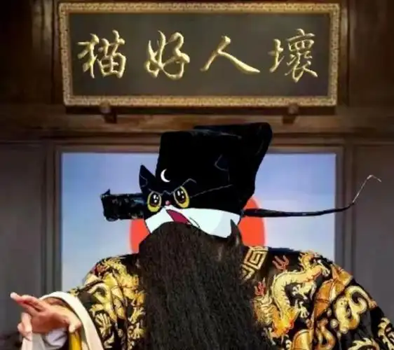 猫咪连续闯祸抓烂懒人沙发泡沫满天飞网友这次不做清汤大老爷