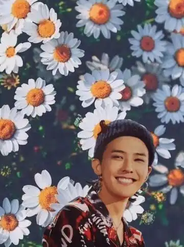 gd权志龙壁纸 小雏菊壁纸