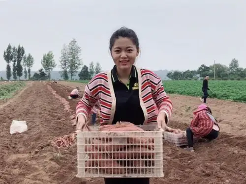 让农产品走出家乡人美心善乡村小乔获金稻穗助农增收奖