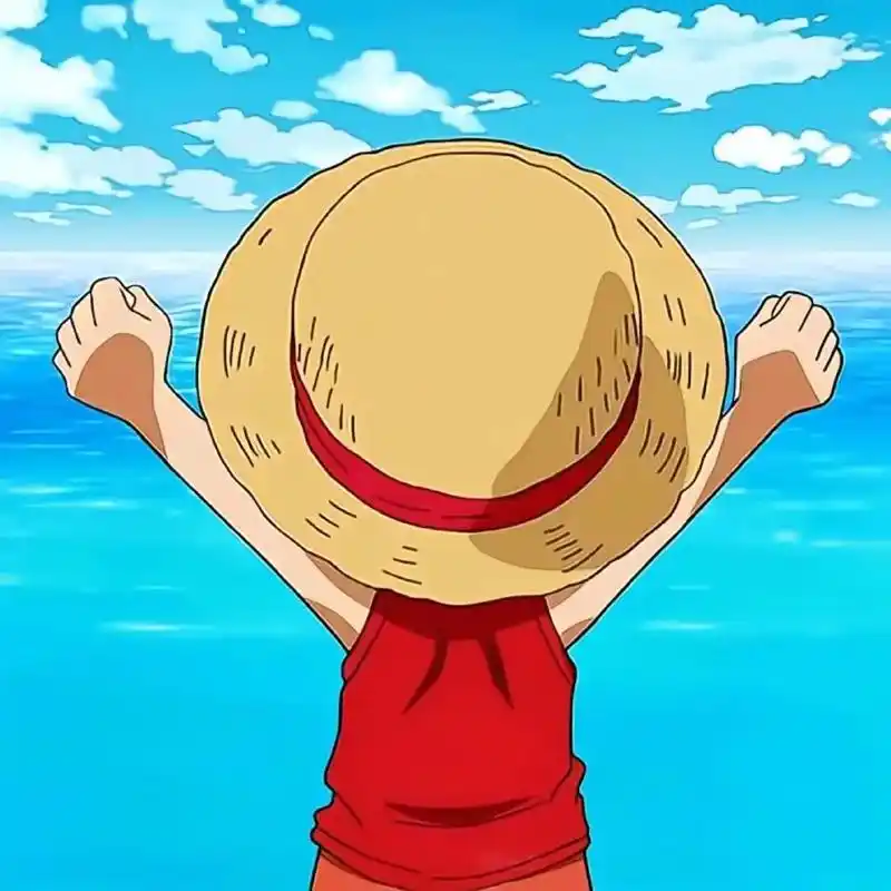 路飞作为船长一步一步走向成熟的背影#路飞 #海贼王 #成长的 - 抖音