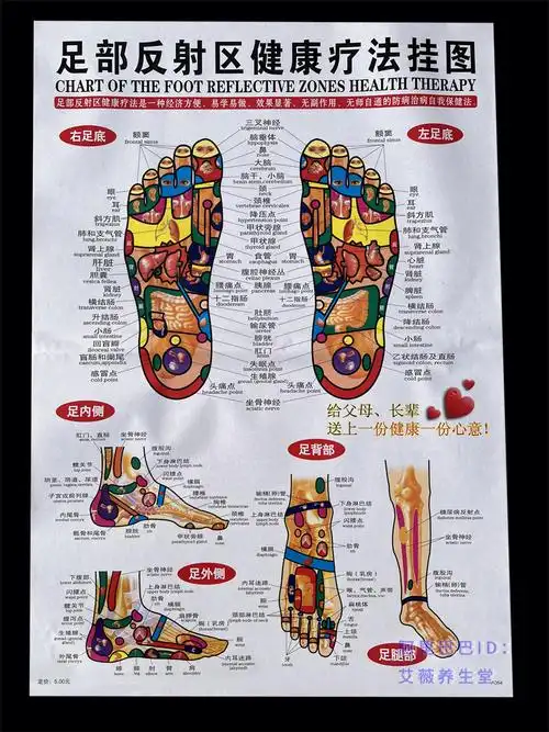 高清足图足底穴位图足部反射区健康疗法挂图脚底手耳头全身正侧背