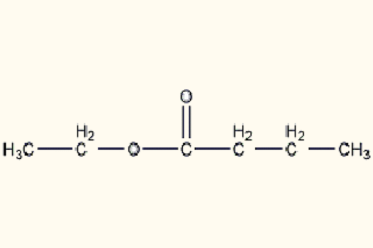 p>丁酸乙酯是一种有机物,化学式为c sub>6 /sub>h sub>12 /sub>o sub