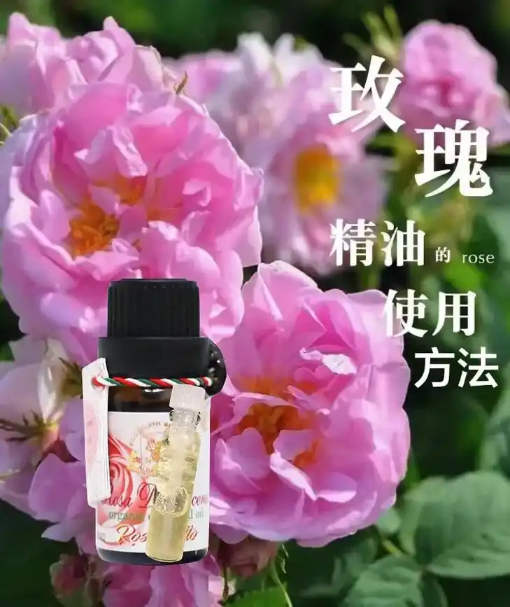 大马士革玫瑰精油