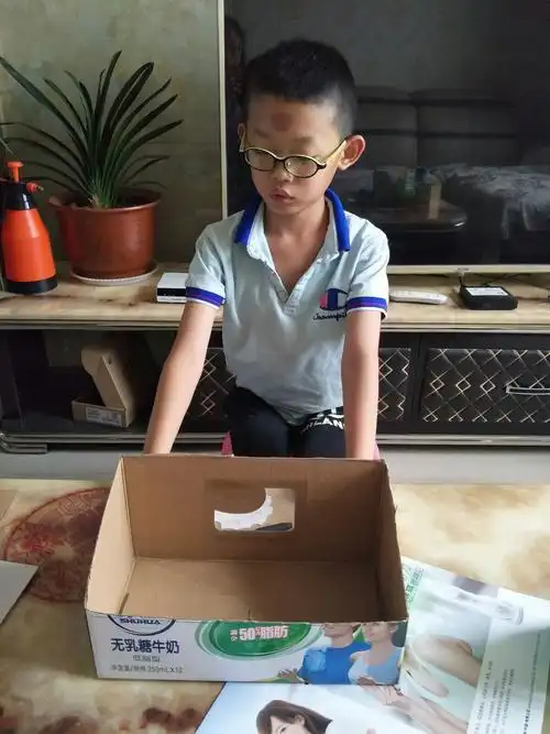 书架手工制作永安路小学二年级段烨玮 写美篇大家是不是经常喝完牛奶