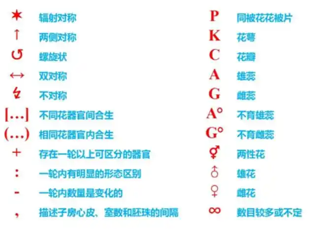 花程式符号释义