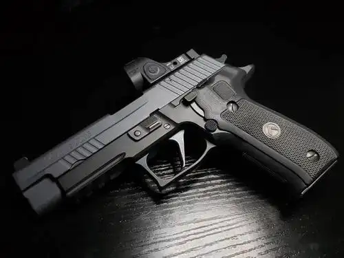 海豹专属西格绍尔公司p226手枪图集