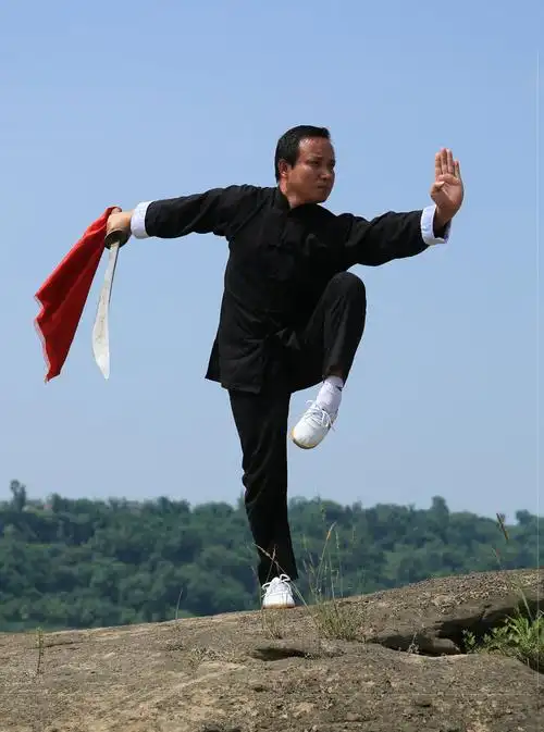 少林洪门四大武师功夫雄风