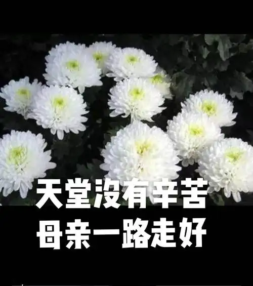 却用她平凡而伟大一生的言行,告诉我们接下来的路如何去走.