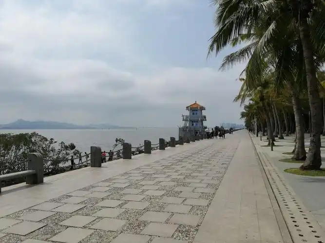 深圳红树林海滨公园美丽的红树林公园位于深圳湾畔听说是深圳八景之一