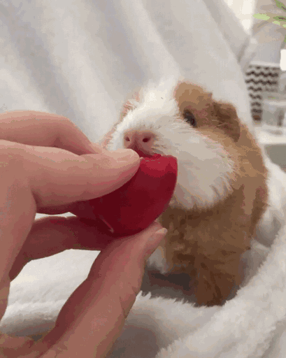 409_512竖版 竖屏gif 动态图 动图