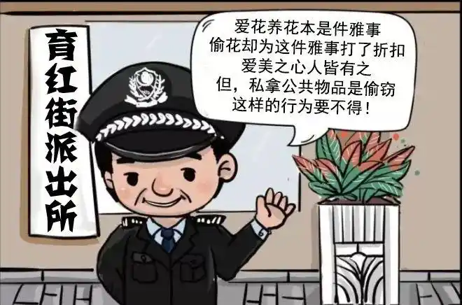 刚刚我市花海偷花者主动承认错误