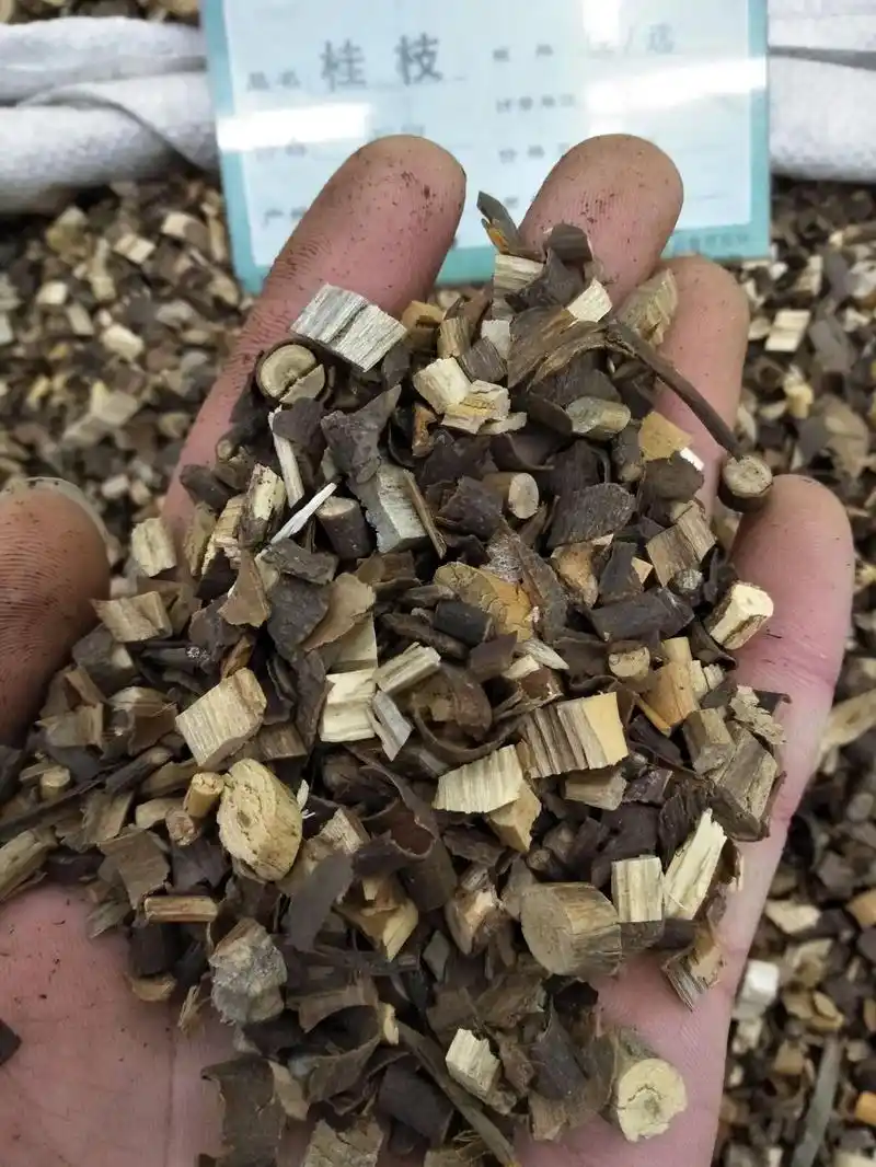 高鹏说药材热点品种桂枝近期行情走势简析