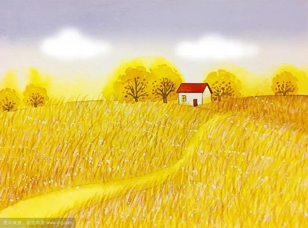 秋天金黄的田野手绘水彩插画