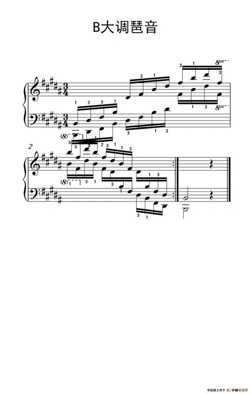 b大调琶音