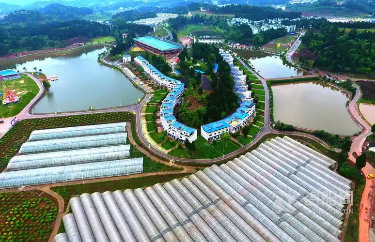 安岳县宝森柠檬小镇.记者 王勇 摄