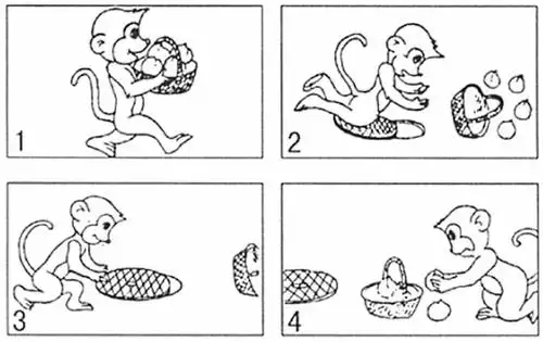 二年级看图写话《善良有爱的小猴子》——小猴子盖好井盖