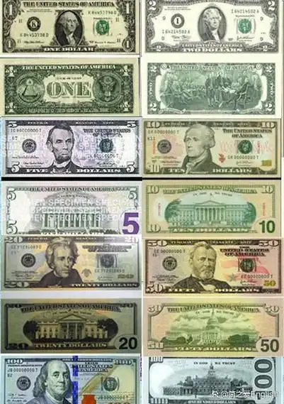 bill 十美元纸币;five-dollar bill 五美元纸币;one-dollar bill 一
