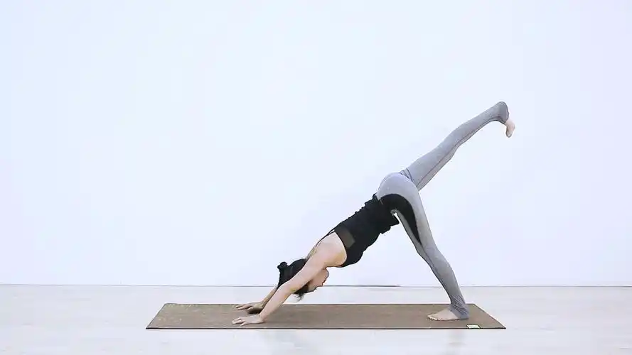 适合瑜伽初学者的九式基础瑜伽动作