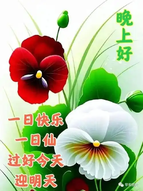 2023年9月21日周四早上好温馨早安祝福图片问候语早安问候祝福语暖心