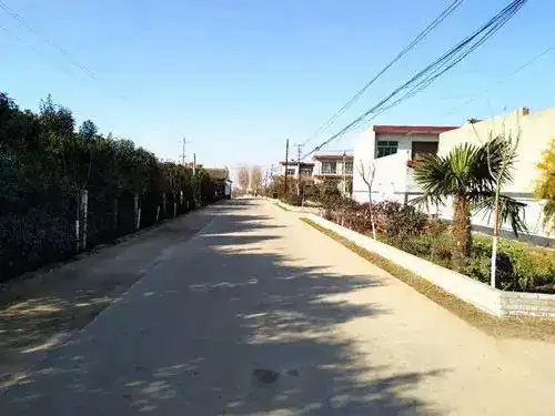 展风采清洁乡村大pk系列二十九西安市长安区杨庄街道东联村