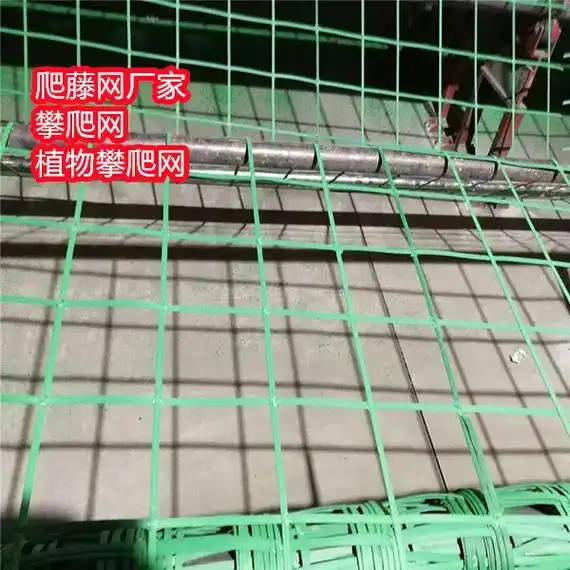 爬藤网厂家 攀爬网 植物攀爬网 通常由铁丝网或塑料网制成,可 - 抖音