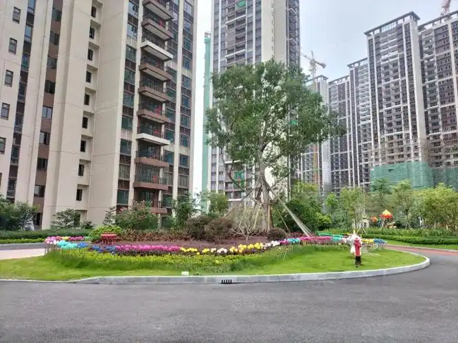 碧桂园·合景·美的阅江府,江滨东路-肇庆碧桂园·合景·美的阅江府