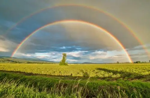 适合雨过天晴发朋友圈的文案专题