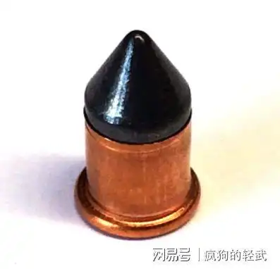 22bb弹设计之初就只是一种用来打着玩儿或者在室内戳把子的一种子弹