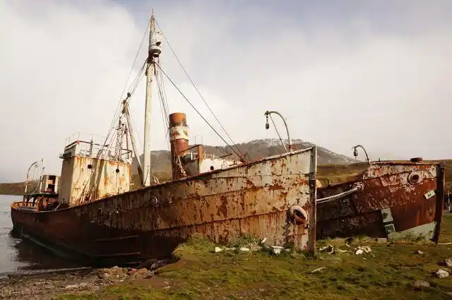 再加上遇到了海盗的黄金时代和蓬勃发展的工业捕鲸,加拉帕戈斯群岛上