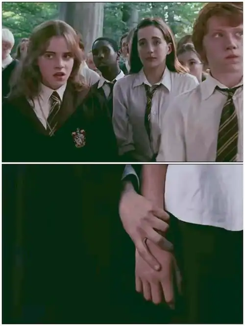 哈利波特/罗恩&赫敏