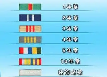 p>级别资历章是中国人民解放军特有的一种佩戴于 a target="_blank"