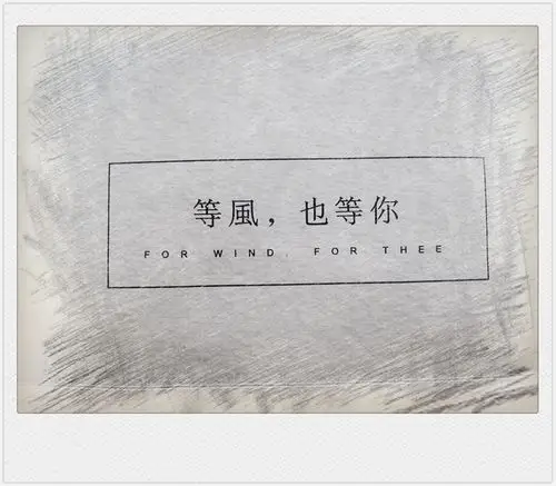 等风也等你
