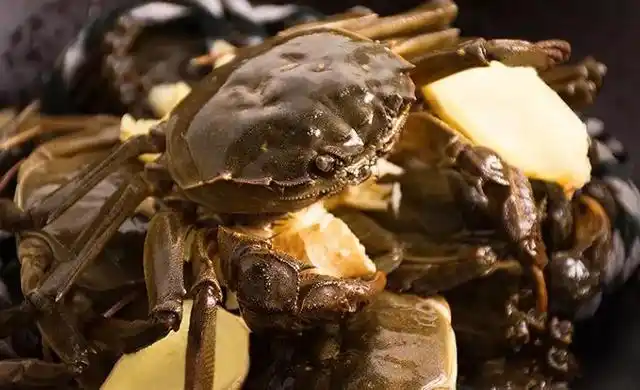 怎么保证你吃到阳澄湖大闸蟹是真的?大闸蟹最严品控来啦