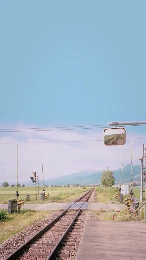 治愈系,森系,日系