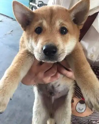 看看小时候,还是很可爱的!