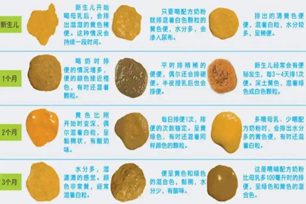 新生婴儿正常便便的图片大全(一张大便图教你识别宝宝便便,"六正常六
