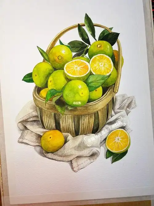 水彩静物写生练习木筐橘子和衬布