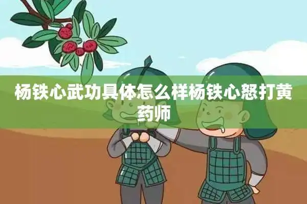 杨铁心武功具体怎么样杨铁心怒打黄药师